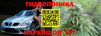 apvp Краснодар